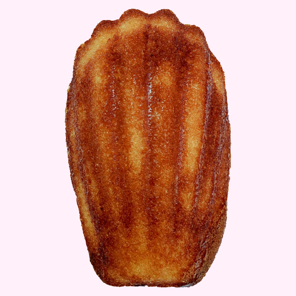 The Pink Yyeti Lavender Honey Madelineines